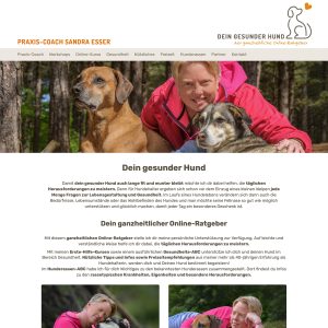 fd-work-website-gehu